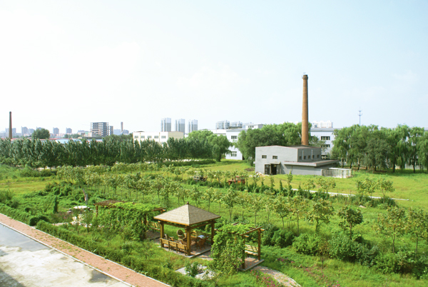 一場(chǎng)臺(tái)風(fēng)引發(fā)的思考